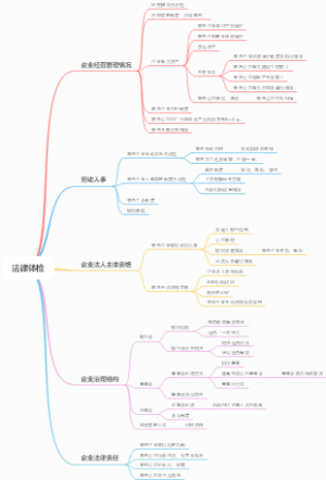 法律体检