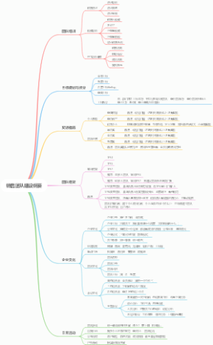 销售团队建设纲要