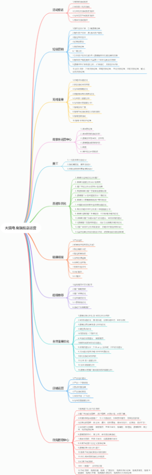 天猫电商旗舰店运营