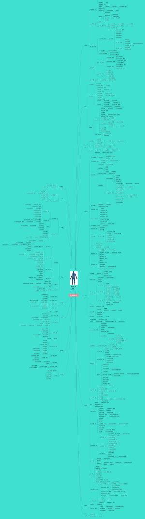 human人体