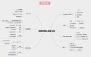 印度的廉价航空公司