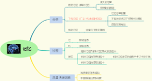 记忆