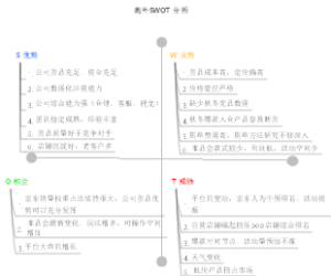 淘外SWOT 分析