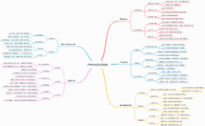 产品优化项目规划