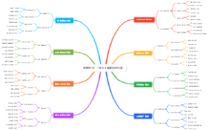 电商创业：TikTok爆款选品代发