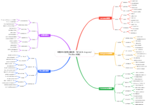 电商创业海外社媒矩阵