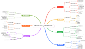 电商创业跨境新兴品类：宠物智能用品出海案例