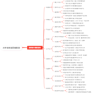 大学生创业营销策划