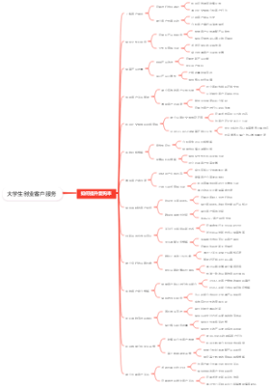 大学生创业客户服务