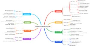 项目管理思维图团队协作更高效