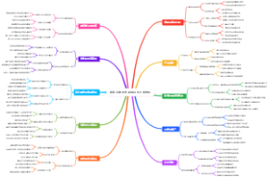 跨境贸易指南思维导图