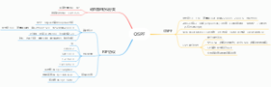 OSPF基础