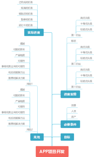 APP项目开发
