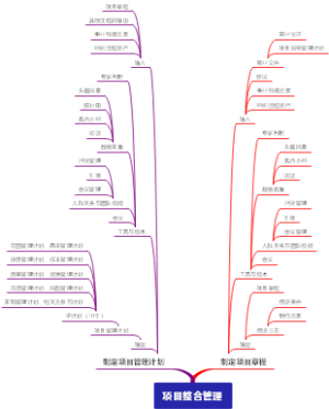 项目整合管理