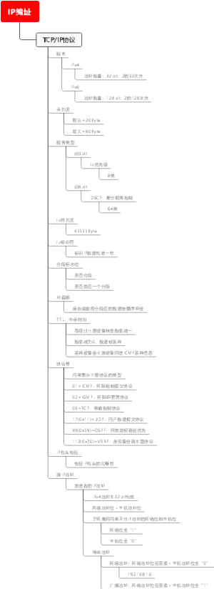 IP编址