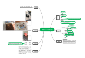 鞘翅目金龟总科饲养指南