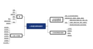 人体是怎样构成的