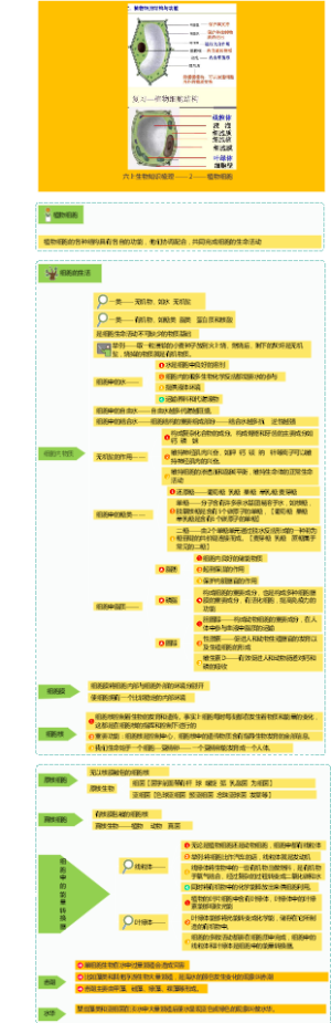 六上生物知识梳理——2植物细胞