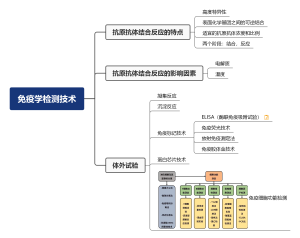医学免疫学-免疫学检测技术思维导图