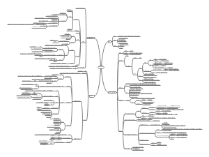 酶与酶促反应思维导图