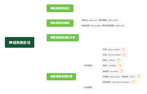 神经系统总论