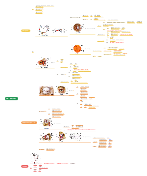 视器（visual organ）