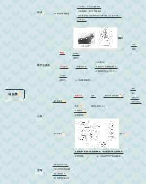 噬菌体