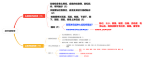 淋巴结检查—诊断实验考试