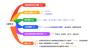 心脏触诊—诊断学实验考试
