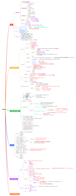 外科总论—外科感染