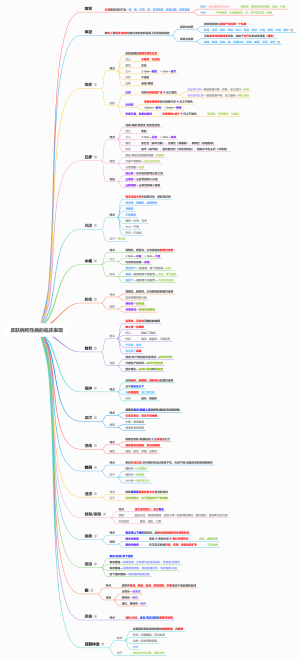 皮肤性病学—皮肤病和性病的临床表现