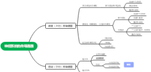 神经系统传导通路