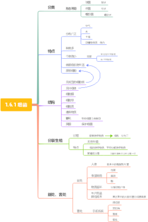 七下科学1.6.1细菌