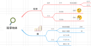 五年级下册：观察物体（三）