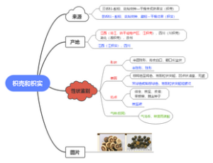 枳壳和枳实