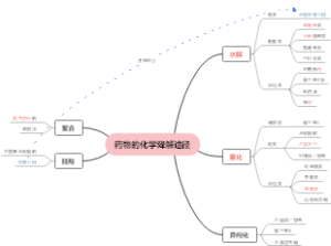 西药执业药师-药学专业知识（一）第一章药品与药品质量标准-药物的化学降解途径