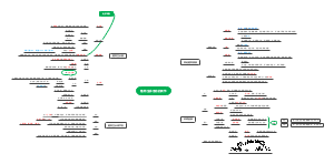 高中生物必修一第五章植物生命活动的调节
