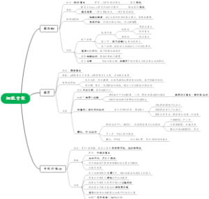 细胞骨架