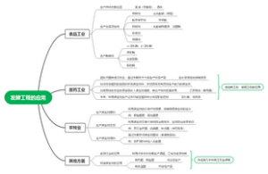 发酵工程的应用