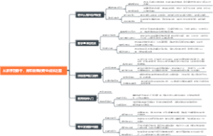 从新手到骨干，青年教师的专业成长之路