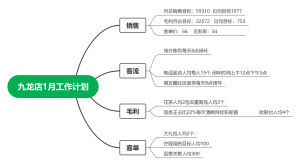 九龙店1月工作计划