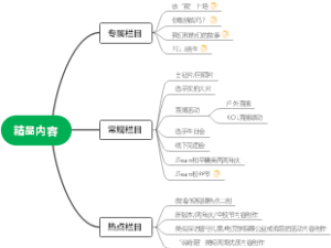 精品内容