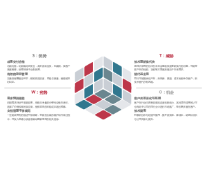 列表_魔方组成以SWOT思维模式为范例