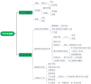 TikTok运营