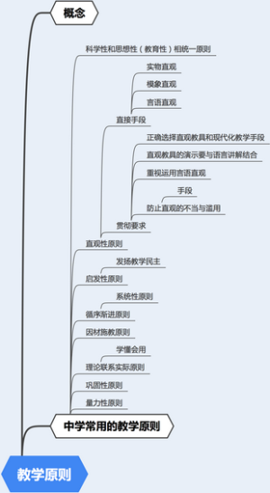 高中教资科二3.4 教学原则