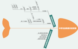 高中教资科二5.6 中学生自我意识的发展