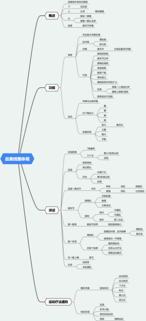 后表线整体观