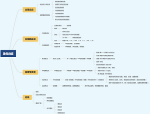急性炎症