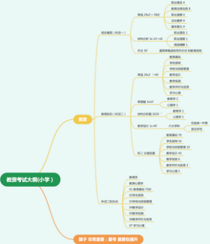 教资考试大纲(小学）