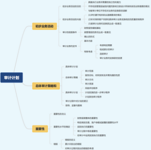 审计计划